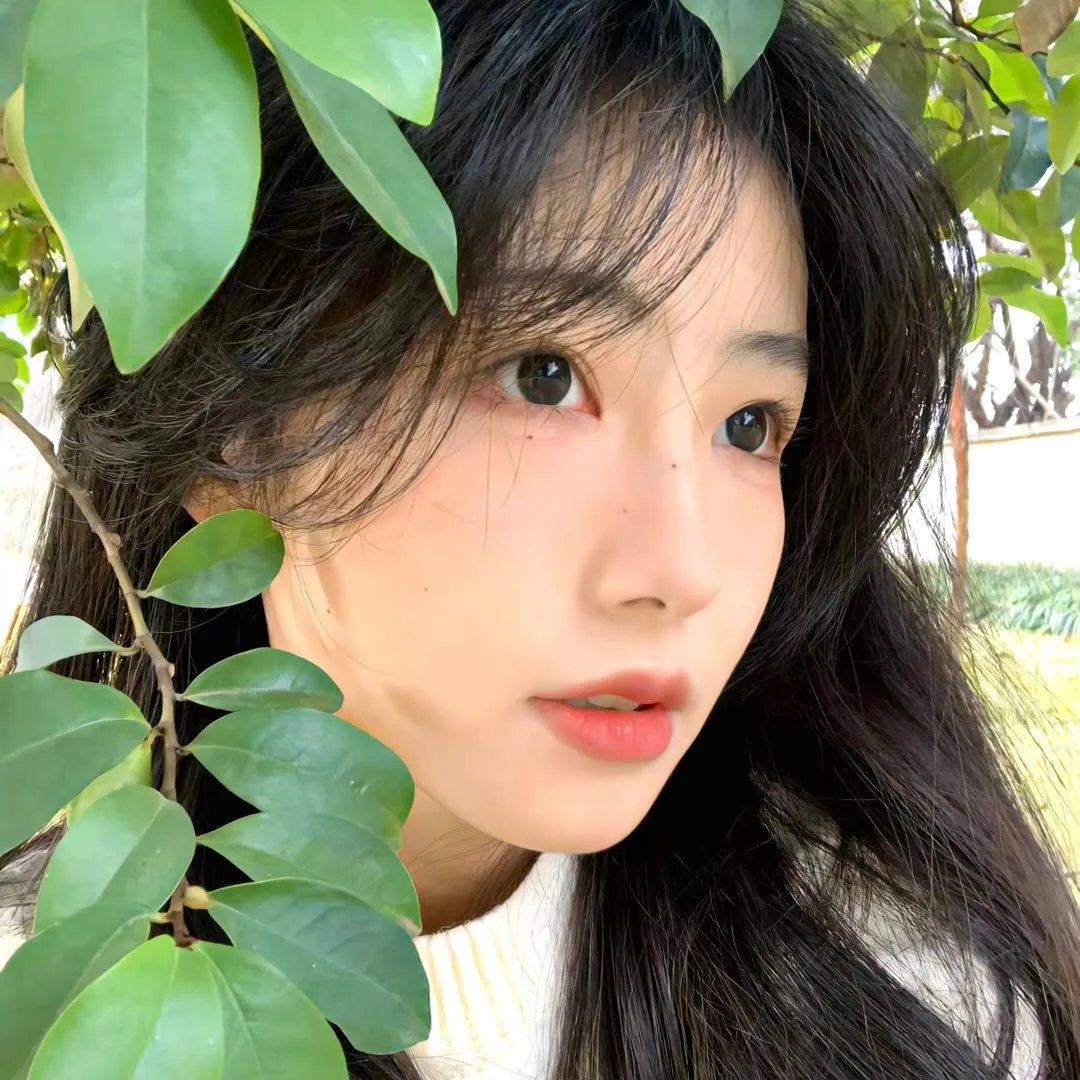 野性女郎 海报